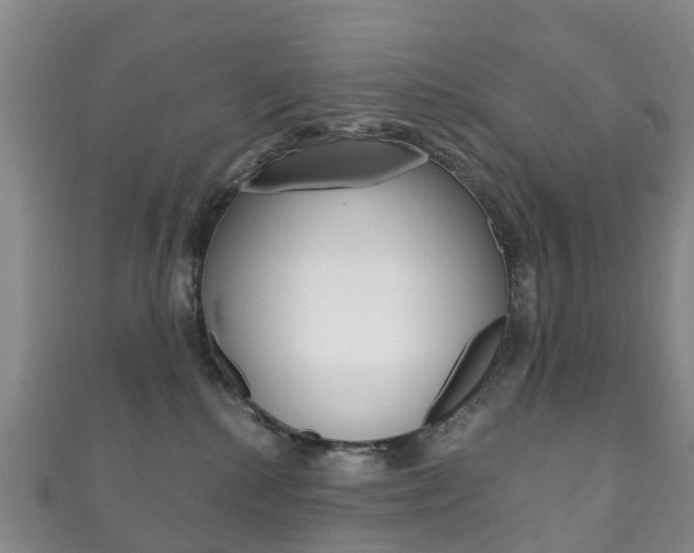 X0000111930280200907271037