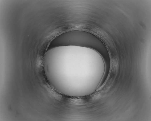 X0000111930284200907271037
