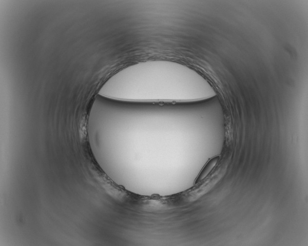 X0000111930285200907271037