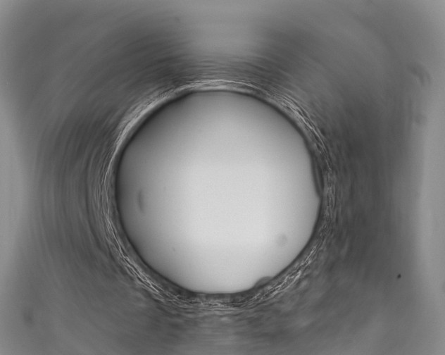 X0000111930289200907271036