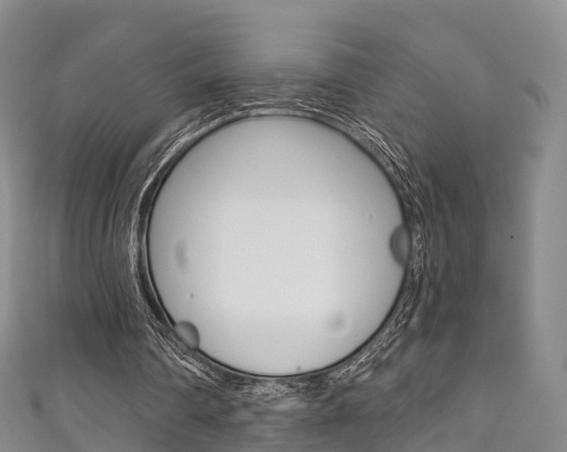 X0000111930290200907271036