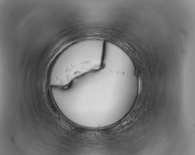 X0000111930291200907271036
