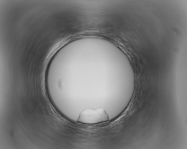 X0000111930293200907271036