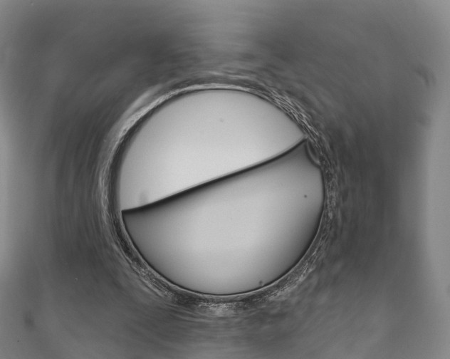 X0000111930295200907271036