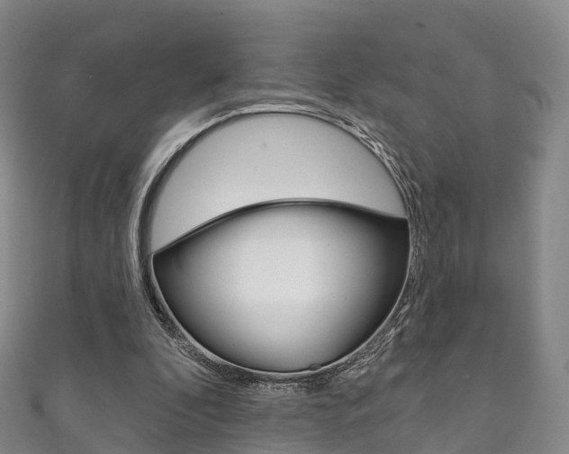 X0000111930296200907271036