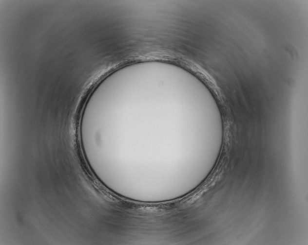 X0000111930298200907271036