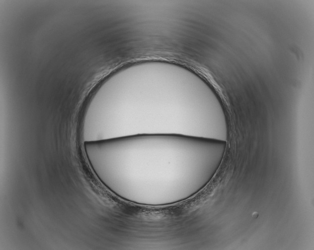 X0000111930299200907271036
