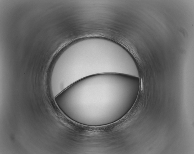 X0000111930300200907271036