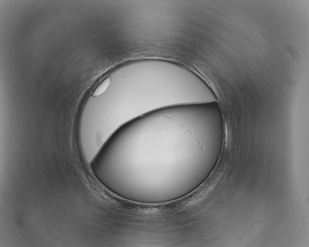 X0000111930301200907271036