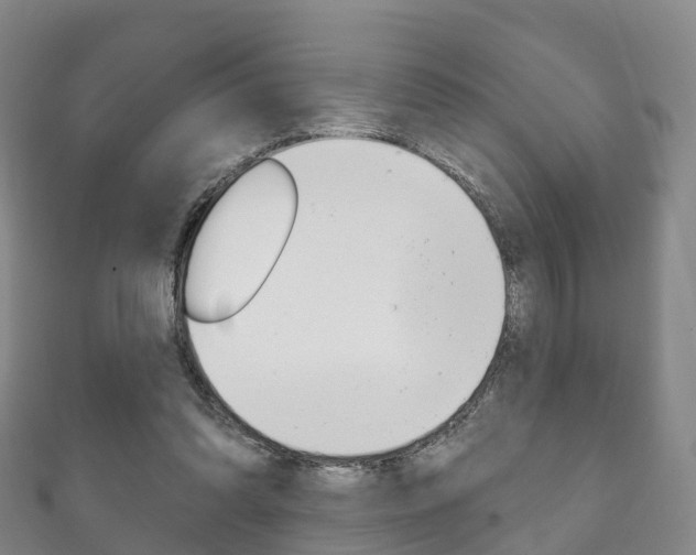 X0000111930302200907271036