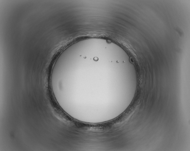 X0000111930303200907271036