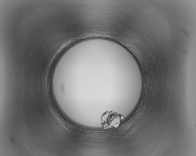 X0000111930304200907271036