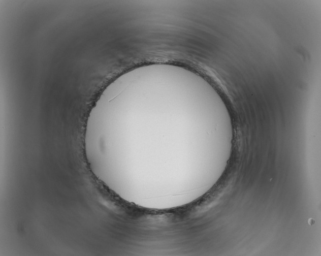 X0000111930307200907271036