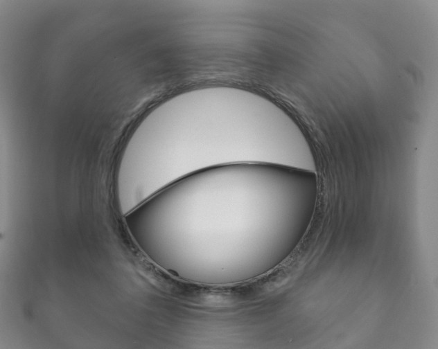 X0000111930308200907271036