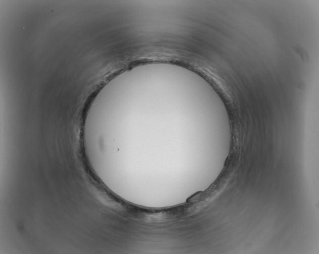 X0000111930309200907271036