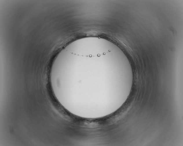 X0000111930311200907271036