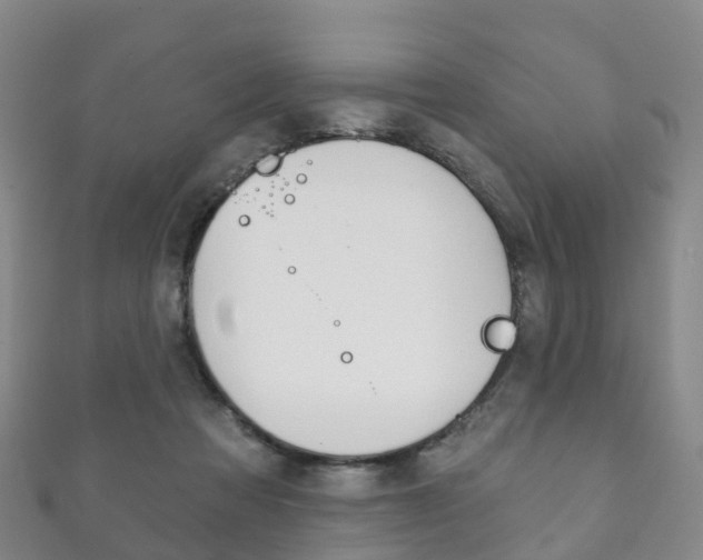 X0000111930313200907271036