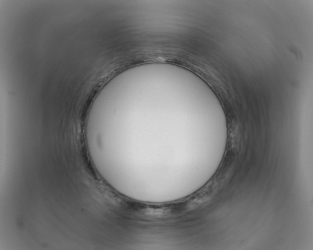 X0000111930314200907271036
