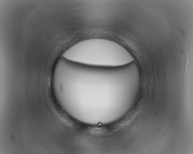 X0000111930315200907271036