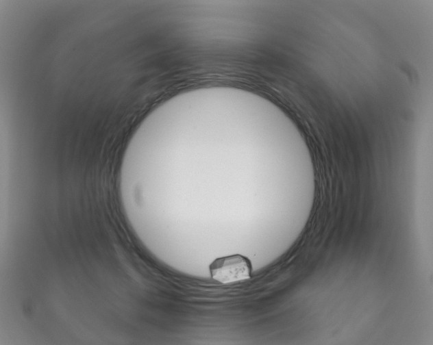 X0000111930316200907271036