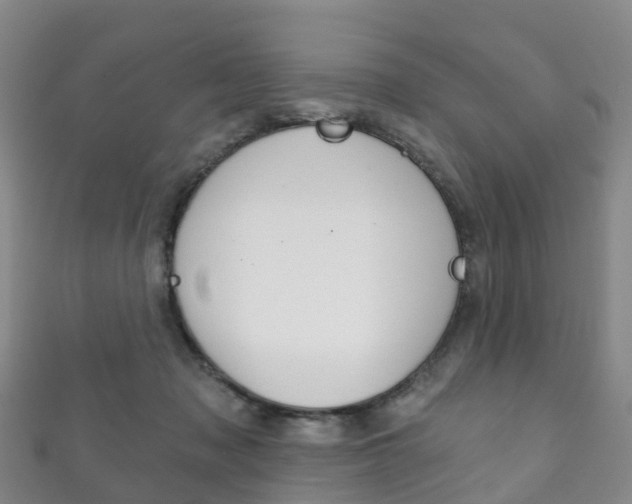 X0000111930317200907271036