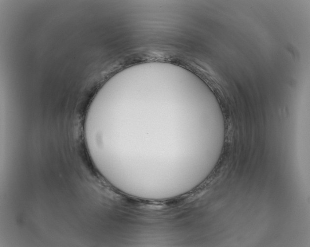X0000111930318200907271036