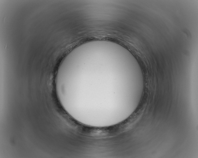 X0000111930319200907271036