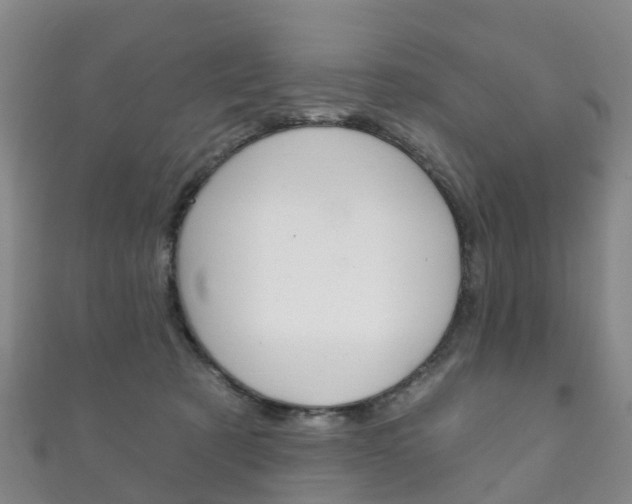 X0000111930321200907271036