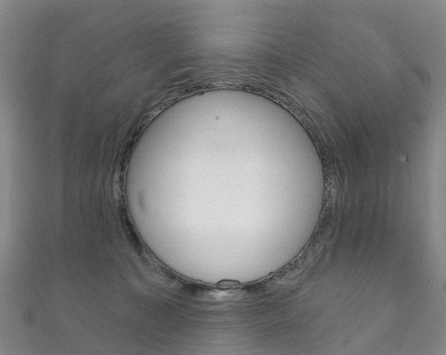 X0000111930323200907271036