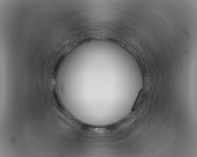 X0000111930324200907271036