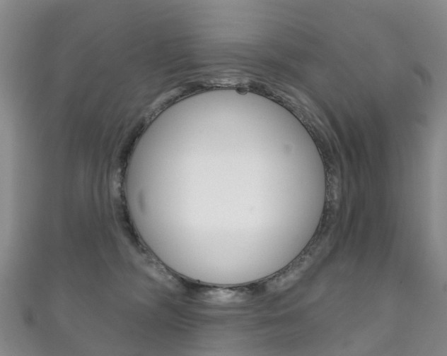 X0000111930326200907271036