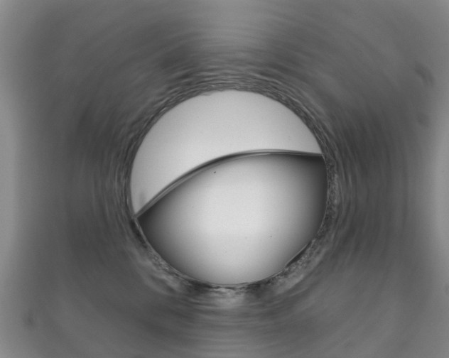 X0000111930328200907271036
