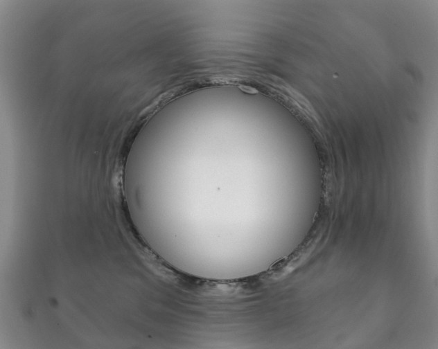 X0000111930329200907271036