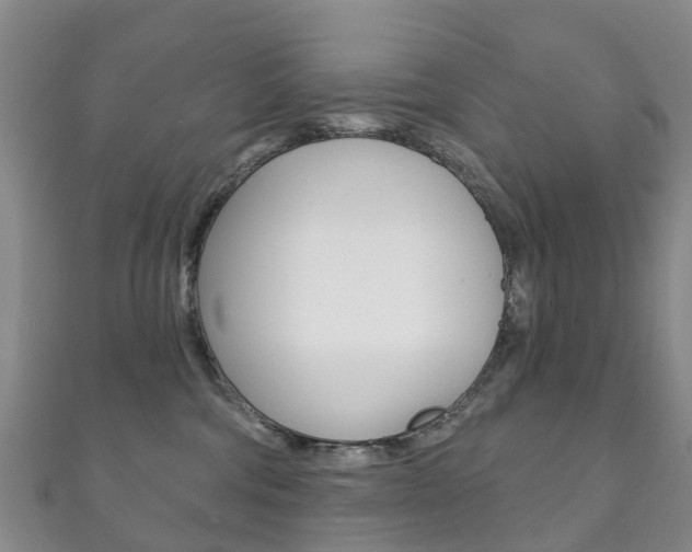 X0000111930330200907271036