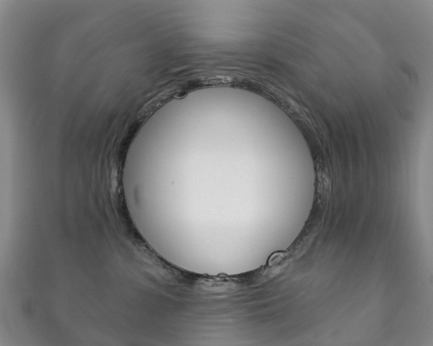 X0000111930331200907271036