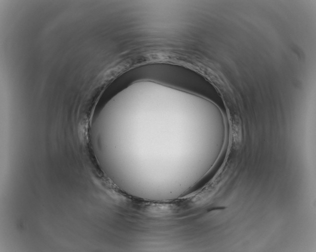 X0000111930332200907271036