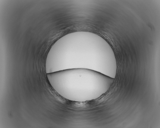 X0000111930335200907271036