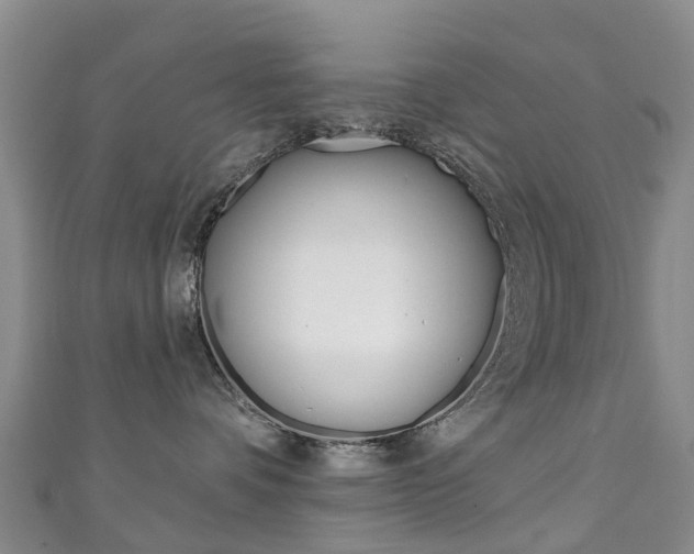 X0000111930336200907271036
