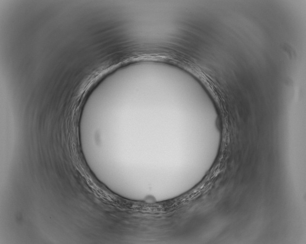 X0000111930337200907271035