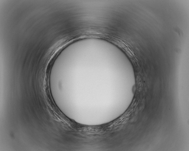 X0000111930338200907271035