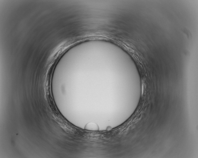 X0000111930339200907271035