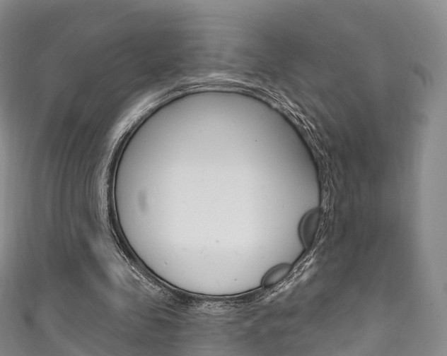 X0000111930341200907271035