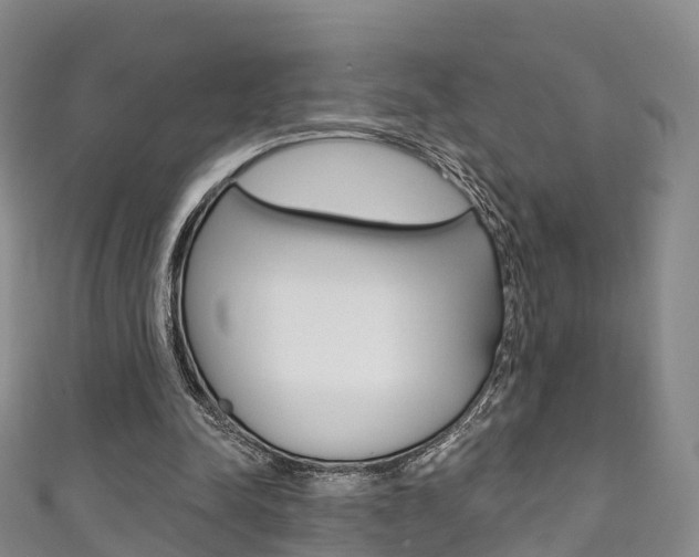 X0000111930342200907271035