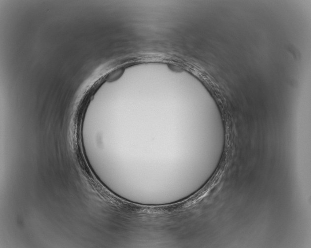 X0000111930343200907271035