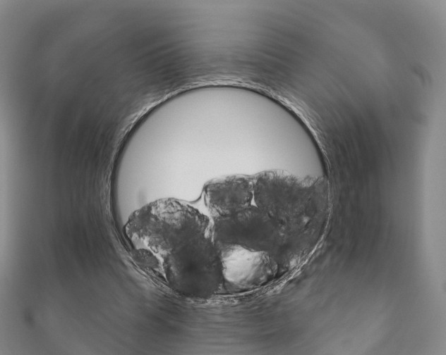 X0000111930345200907271035