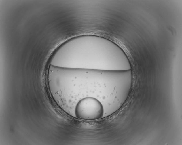 X0000111930346200907271035