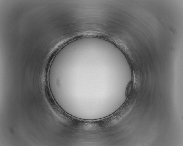 X0000111930348200907271035