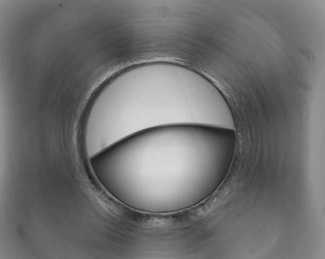 X0000111930350200907271035