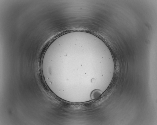 X0000111930351200907271035