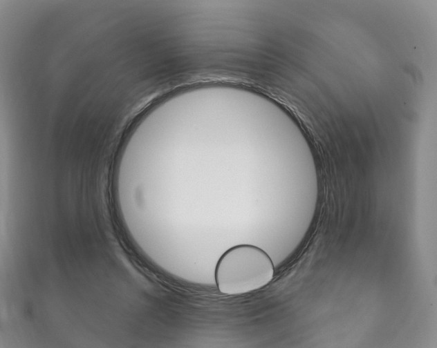 X0000111930352200907271035